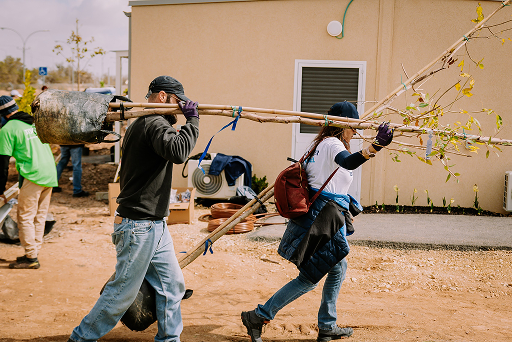 Birthright Israel Volunteer Progam sees 10,000th participant