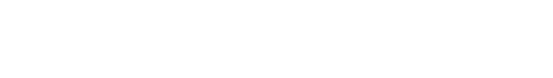 Custom Logo